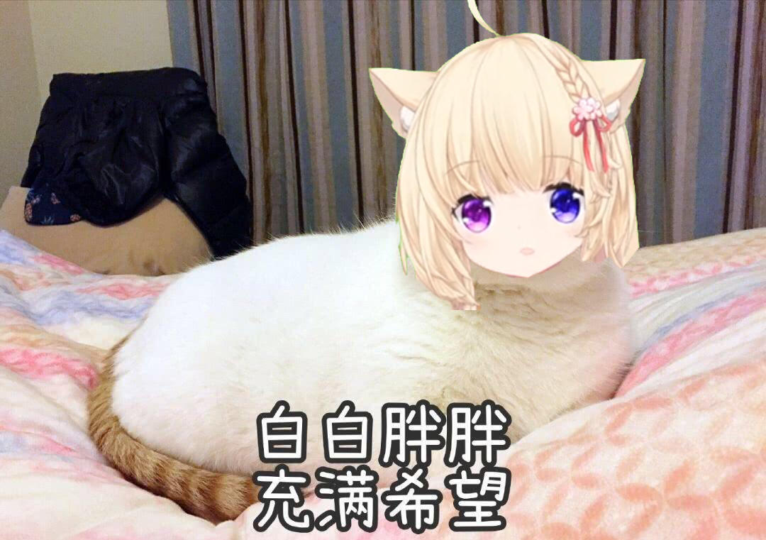 粉丝创作 Version 表情包